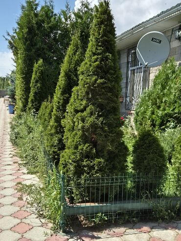 дача дом продам: Коттедж, ЦО ПАРИЖ | Париж, Чок-Тал, Балдар аянтчасы, Унаа токтотуучу жай, унаа туруучу жай, Коргоодогу аймак