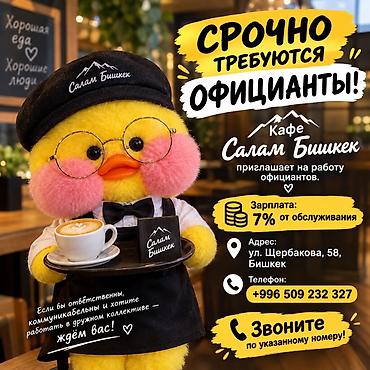 it hub: Требуется Официант Без опыта, Оплата: Еженедельно — 1