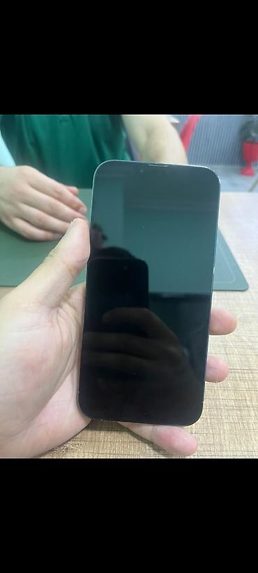iphone 12 mini: IPhone 13 Pro Max, 128 GB, Sierra Blue, Face ID — 1
