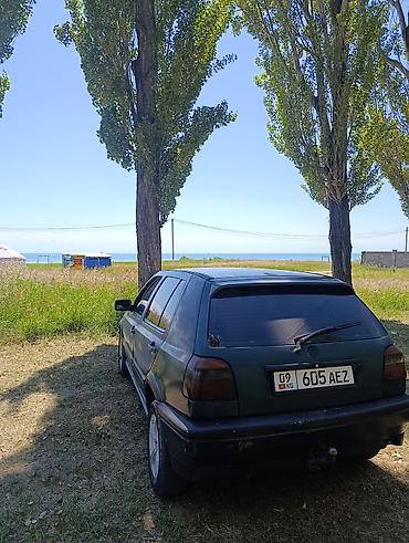 чехол голф: Volkswagen Golf: 1992 г., 1.8 л, Автомат, Бензин, Хэтчбэк — 7