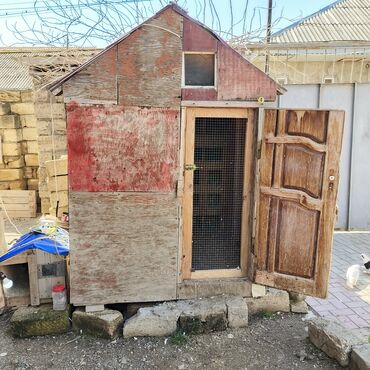 Yuvalar: Salam Aleykum Quşxana satılır istəyən olsa əlaqə saxlasın .hündürlük — 3