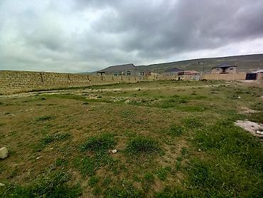 Torpaq sahələrinin satışı: 8 sot, Tikinti, Kupça (Çıxarış) — 5