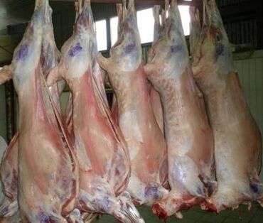 купить мясо бройлеров: Баранина : Более 10 кг, Бесплатная доставка