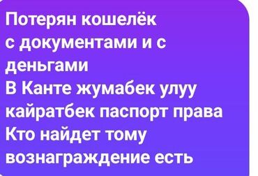 домашние вещи: Потерян кошелек, содержащий документы и денежные средства. В кошельке
