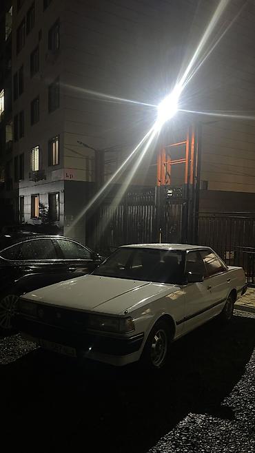 чайзер цена: Toyota Chaser: 1986 г., 1.8 л, Автомат, Бензин, Седан — 5