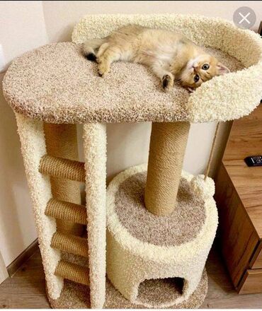 подвесной домик для кошек: КОГТЕТОЧКА - ДОМИКИ - ДЛЯ КОШЕК - ЛЮБОЙ ЦВЕТ- НА ЗАКАЗ ! ИЛИ
