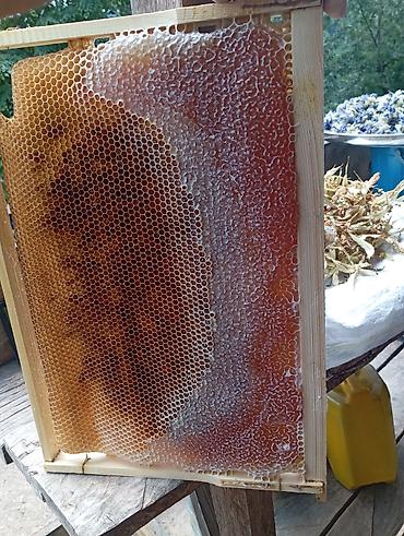 distillə olunmuş su satışı: Təbii arı məhsulları – süzgəc bal və pətək bal - Müxtəlif — 4