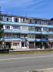 квартира на долгий срок пишпек: 1 бөлмө, Менчик ээси, Чогуу жашоосу жок, Жарым -жартылай эмереги бар