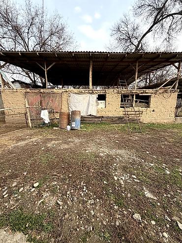 Продажа коттеджей и домов: 4 комнаты, 92 м², 10 соток, Селекционное — 3