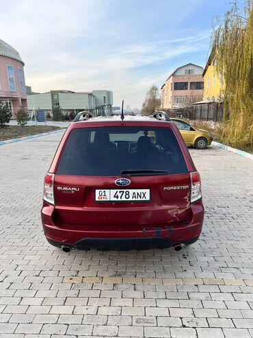 Subaru: Subaru Forester: 2009 г., 2.5 л, Автомат, Бензин, Внедорожник — 3