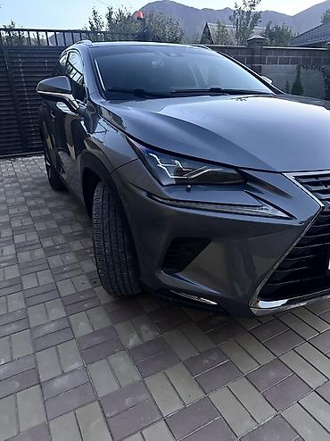 Lexus: Lexus NX: 2021 г., 2.5 л, Вариатор, Гибрид, Кроссовер — 12
