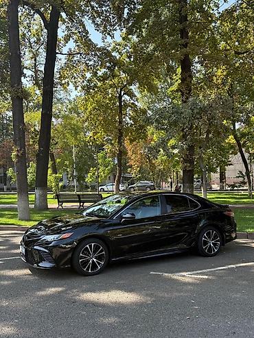 rav 4 2018: Toyota Camry: 2019 г., Автомат, Седан — 1