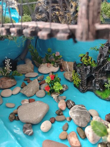 Ostali kućni dekor: Novo — 30