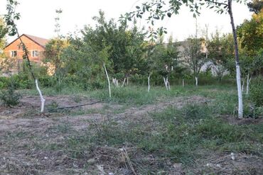 Torpaq sahələrinin satışı: 3 sot, Tikinti, Mülkiyyətçi, Kupça (Çıxarış) — 7