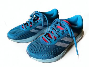 grubin obuca nis: Adidas, 38, color - Blue