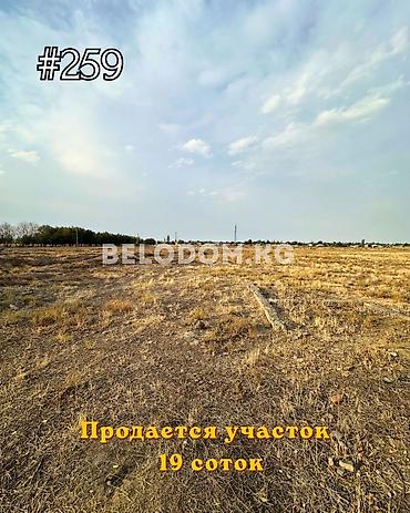 Жер тилкелерин сатуу: 19 соток — 1
