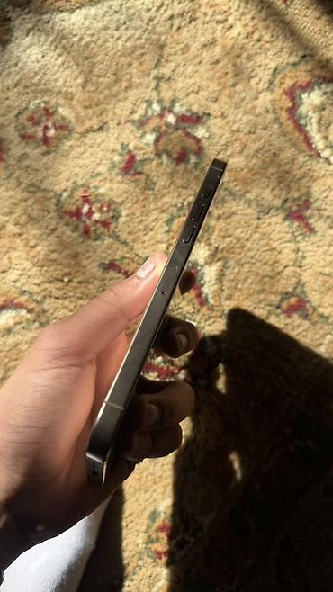 max: IPhone 16 Pro Max, Б/у, 256 ГБ, Natural Titanium — 6