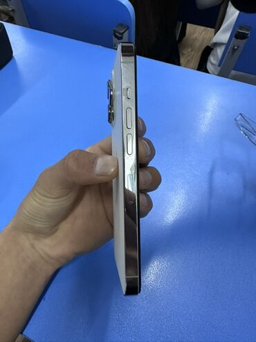 Apple iPhone: IPhone 13 Pro, Б/у, 256 ГБ, Серебристый, Чехол, 76 % — 2