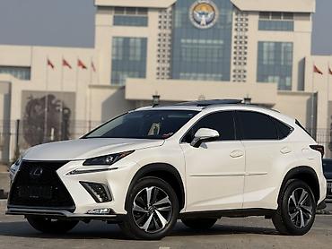 Lexus: Lexus NX: 2018 г., 2 л, Вариатор, Бензин, Кроссовер — 8
