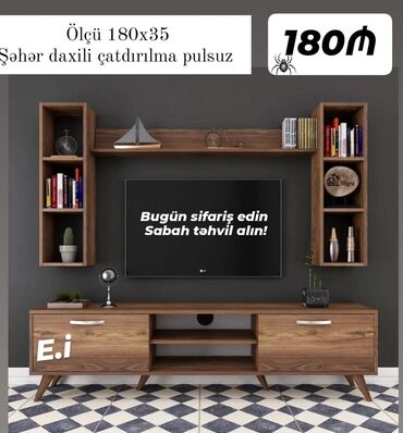 TV stent