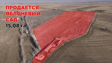 продаю или менаю: 1500 соток, Для сельского хозяйства, Красная книга