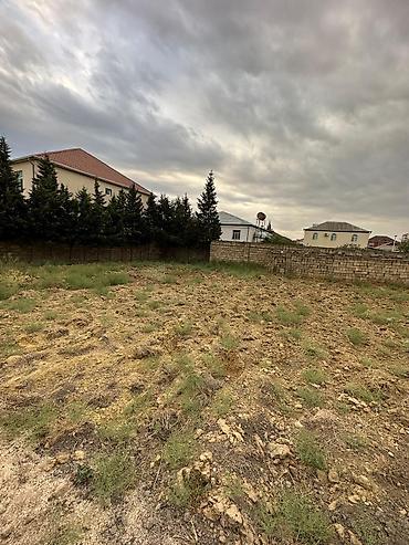 umid qesebesi: 6 sot, Tikinti, Maklerlər narahat etməsin, Kupça (Çıxarış) — 1