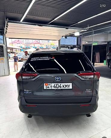 спринтер 2019: Toyota RAV4: 2019 г., Гибрид, Кроссовер — 7