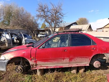 Honda: Honda Civic: 1993 г., 1.5 л, Механика, Бензин, Седан