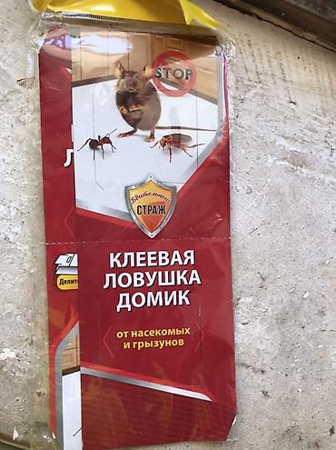 Мыши: КЛЕЕВАЯ ЛОВУШКА-ДОМИК "Бдительный Страж" Mr.Mouse НОВАЯ, в упаковке — 3