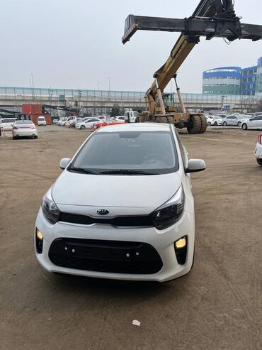 какая машина подходит для яндекс такси бишкек: Kia Morning: 2018 г., 1 л, Автомат, Бензин, Хэтчбэк
