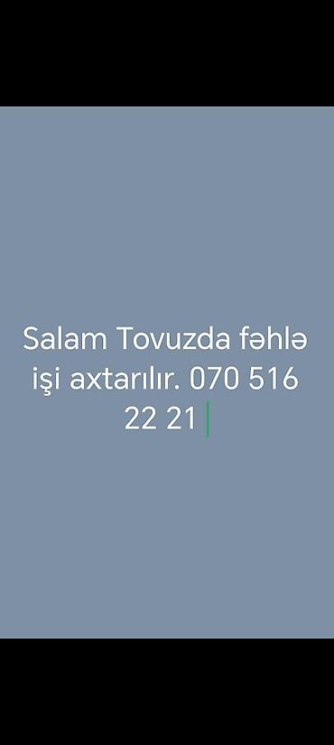 online operator vakansiya: Tovuzda fəhlə işi axtarılır. - İş növü: Fiziki işlər — 1