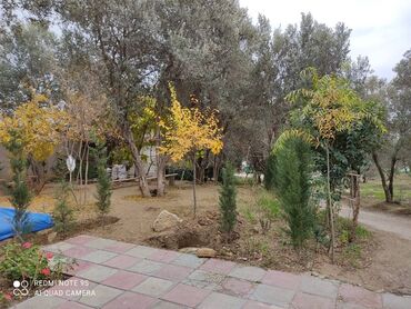 Digər kommersiya daşınmaz əmlakı: Xətai rayonu naxcivanskiy uciliseye yaxin obyekt,6 otaqli baxca kimi — 23