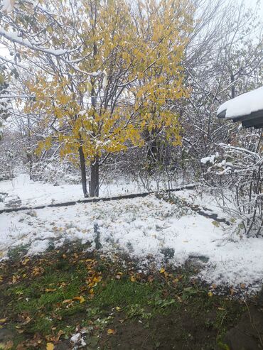 Продажа домов: Дача, 20 м², 1 комната, Собственник, Старый ремонт — 7