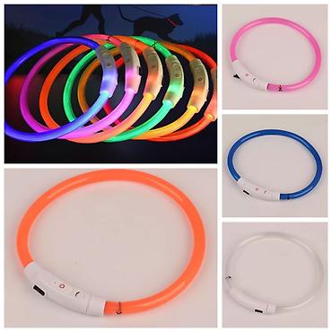 Зоотовары: ПРОДАЮ НОВЫЕ ПУЛЛЕРЫ ДЛЯ ДРЕССИРОВКИ И ИГРЫ С СОБАКАМИА ТАК ЖЕ — 29