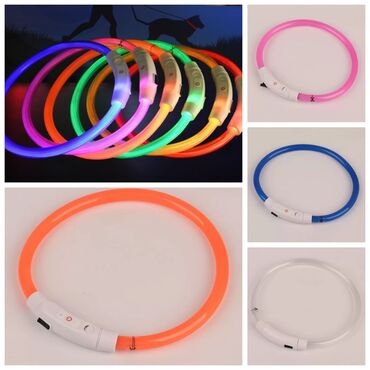 купить ошейник для щенка: ПРОДАЮ НОВЫЕ СВЕТЯЩИЕСЯ ОШЕЙНИКИ,ПОДОЙДУТ КАК ДЛЯ МЕЛКИХ,ТАК И ДЛЯ