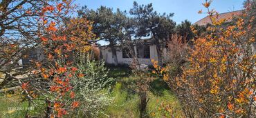 Torpaq sahələrinin satışı: Tikinti, Mülkiyyətçi, Kupça (Çıxarış) — 5