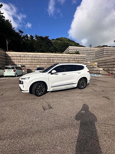 купить дверные ручки: Hyundai Santa Fe: 2021 г., 1.6 л, Гибрид, Кроссовер — 5