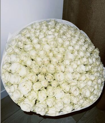 лилайз роза свечи цена бишкек: Организация мероприятий | Гелевые шары, Букеты, флористика, Оформление мероприятий