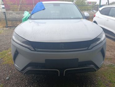 кабина на юмз трактор: BYD : 2025 г., 0.1 - engine capacity л, Робот, Электромобиль, Жол тандабас
