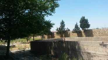 Torpaq sahələrinin satışı: 200 sot, Tikinti, Makler, Kupça (Çıxarış) — 2