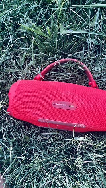 музык: Портативная Bluetooth-колонка JBL (красная) - Форм-фактор — 1