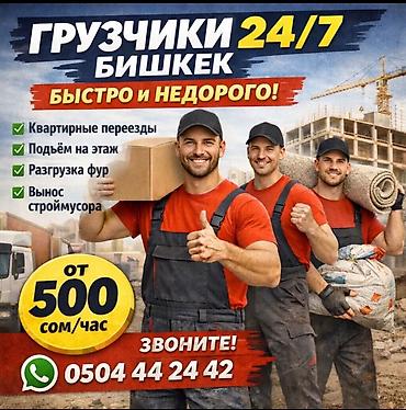 Жүк ташуучулар: Жүк ташуучу. 6 жылдан ашык тажрыйба — 1