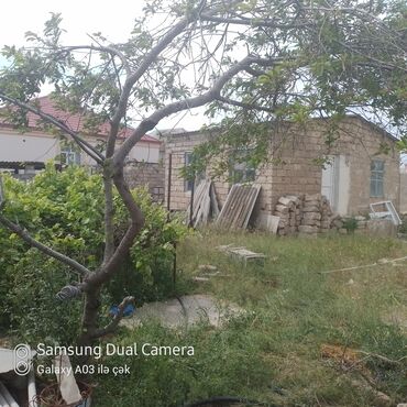 Bağ evlərinin satışı: Bakı, Binə, 250 kv. m, 9 otaq, Hovuzsuz, Kombi, Qaz, İşıq — 3