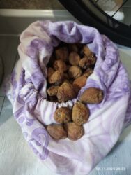 найденные документы: Акысыз 3кг өрүк как.Шербет кылсаңыз аябай ширин болот,бирок жегенге