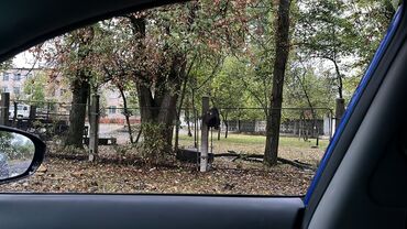 Torpaq sahələrinin satışı: 10 sot, Kupça (Çıxarış) — 3