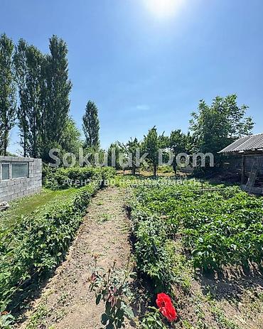 Продажа коттеджей и домов: 🏠Продается дом в с. Сокулук 🟡Комнаты: 3 🟡Участок: 14 соток — 4