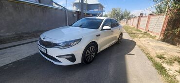 лампа для монитора: Kia K5: 2018 г., 2 л, Автомат, Газ, Седан