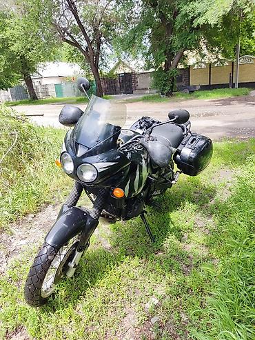 range over: Мотоцикл тур-эндуро Triumph Tiger 955i 2003год Пробег: 20396 В — 2