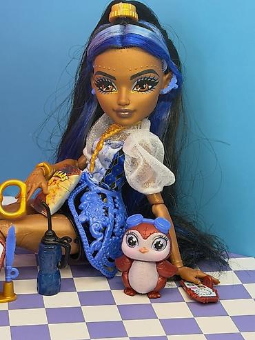 Игрушки: Кукла монстер хай( Monster high) Робекка Стим, базовая3 G, на — 5