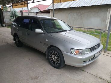 4 ронер: Toyota Corolla: 1999 г., 1.6 л, Автомат, Бензин, Вэн/Минивэн